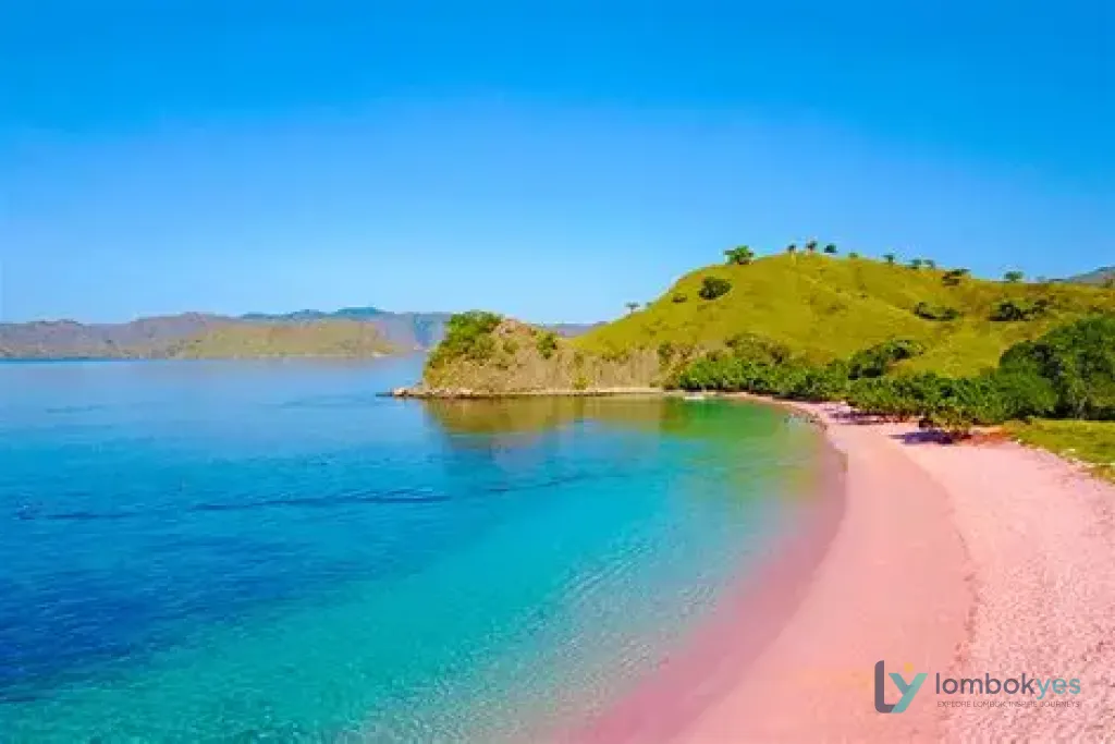 Pink Beach  Merupakan Salah Satu Pecahan Surga Yang Ada Di Pulau Lombok