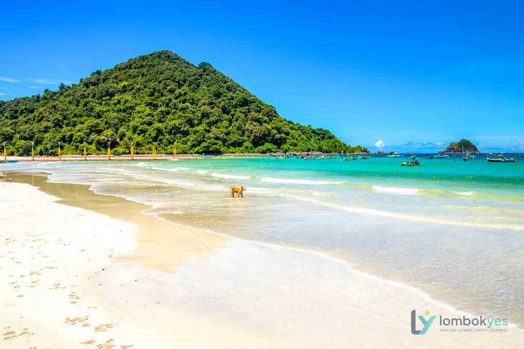 Pantai Selong Belanak, Saatnya Menikmati Sisi Santai Lombok
