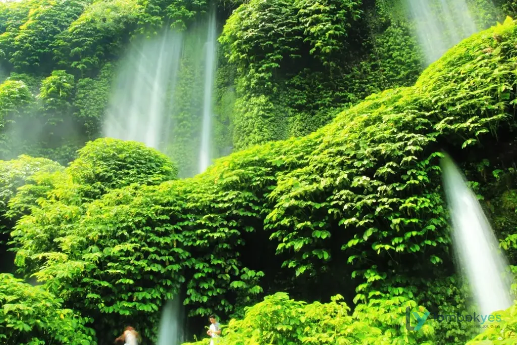 Air Terjun Benang Kelambu, Airnya Jatuh Seperti Tirai di Tengah Hutan Lombok