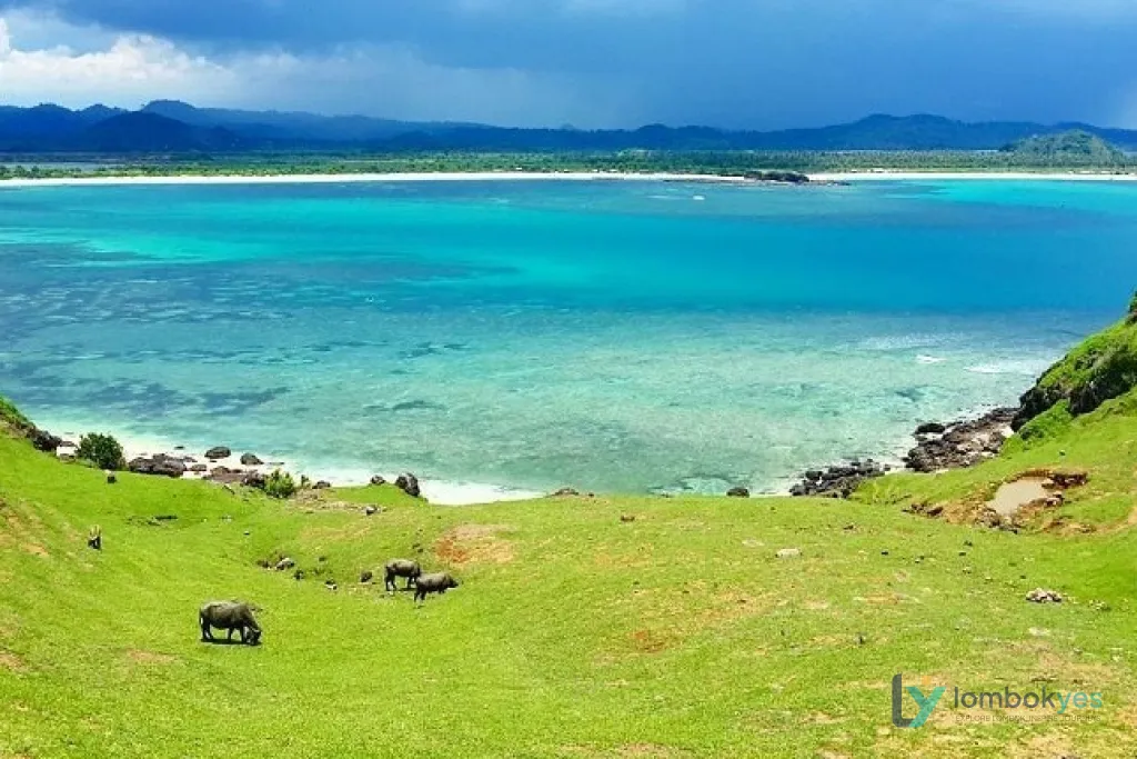 Bukit Merese Lombok, Spot Sunset dengan Panorama Laut yang Bikin Betah